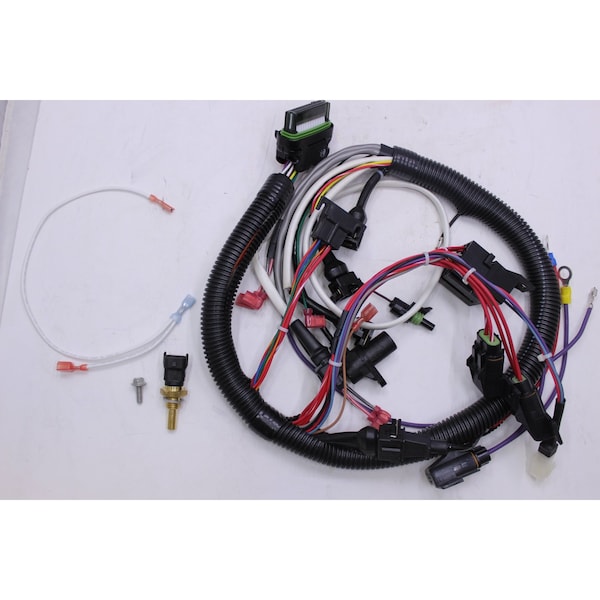 Kit Wiring Harness (24 Pin)